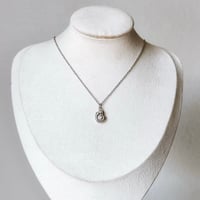 Image 1 of SILVER SHELL