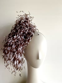 Image 1 of Brown and white ostrich