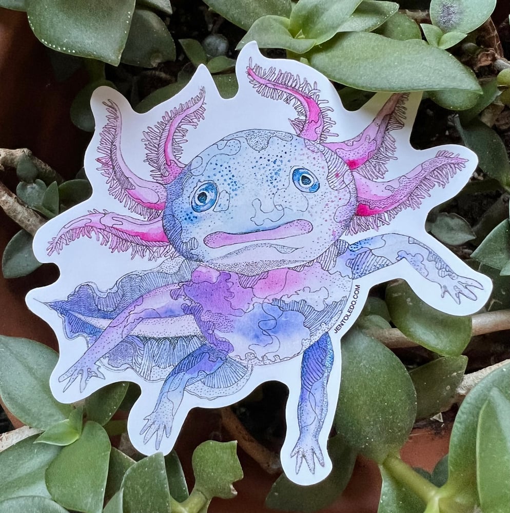 Image of Axolotl Sticker