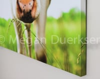 Image 2 of Cow in Grass Canvas