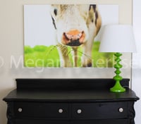 Image 1 of Cow in Grass Canvas