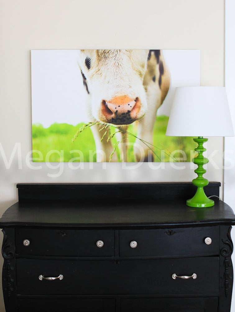 Image of Cow in Grass Canvas