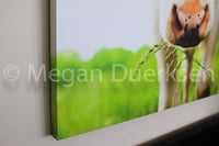 Image 4 of Cow in Grass Canvas