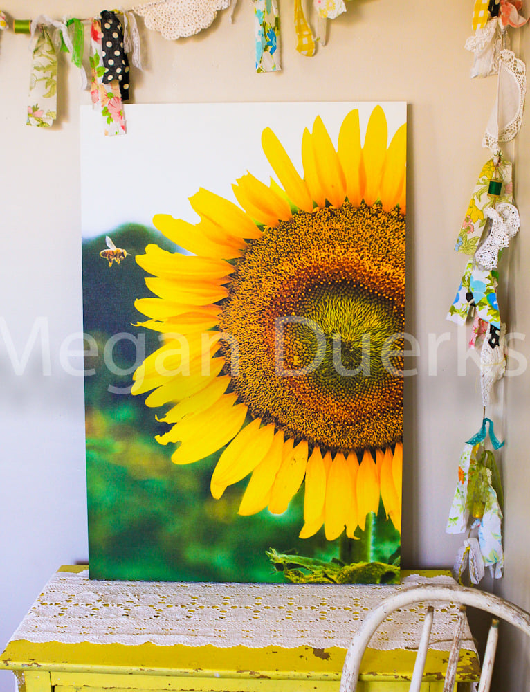Image of Bee in Flight Canvas