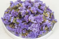 Image 2 of 20g Statice Heads - Purple