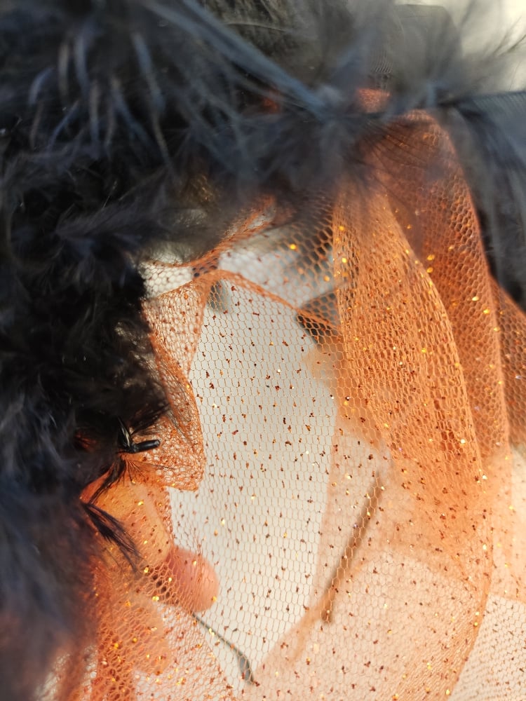 Image of Cerchietto piume e veletta Halloween 