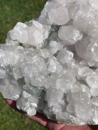 Image 11 of UV Fujian Calcite With Green Fluorite Specimen #890