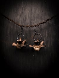 Image 3 of vertebra dangles