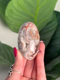 Image 1 of MEXICAN LACE AGATE SHIVA G