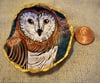 Halloween Oyster Shell Gorgeous Owl