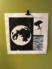 night bloom