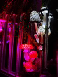 Image 4 of Cathedral LED mirror