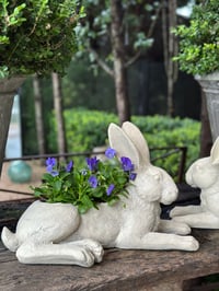 Image 1 of Rabbit Planter
