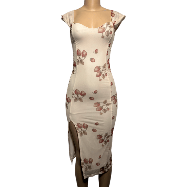Strawberry Meadow Dress 