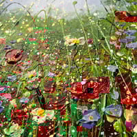 Image 2 of Wild Poppy Field RESERVED FOR RACHEL