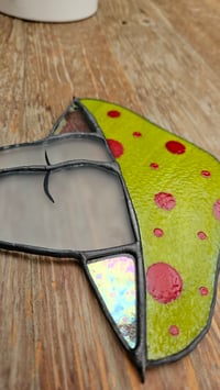 Image 3 of Mushroom bum 1