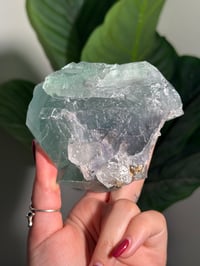 Image 9 of XL TEAL CUBIC FLUORITE -CHINA-