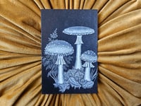 "Fly Agaric" Mini Print