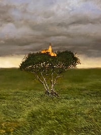 Image 2 of Testamentum