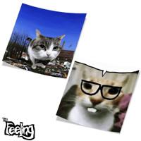 Image 1 of Funny Cars Leftovers