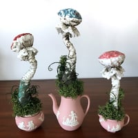 Image 1 of Pink Wedgewood fungi sculpture set