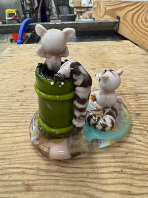 Image of Raccoons at the Park