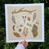 Image 1 of Woodland Offerings A3 Square Print