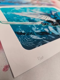 Image 4 of Monographie "À Vol d'Oiseau" + spécial print