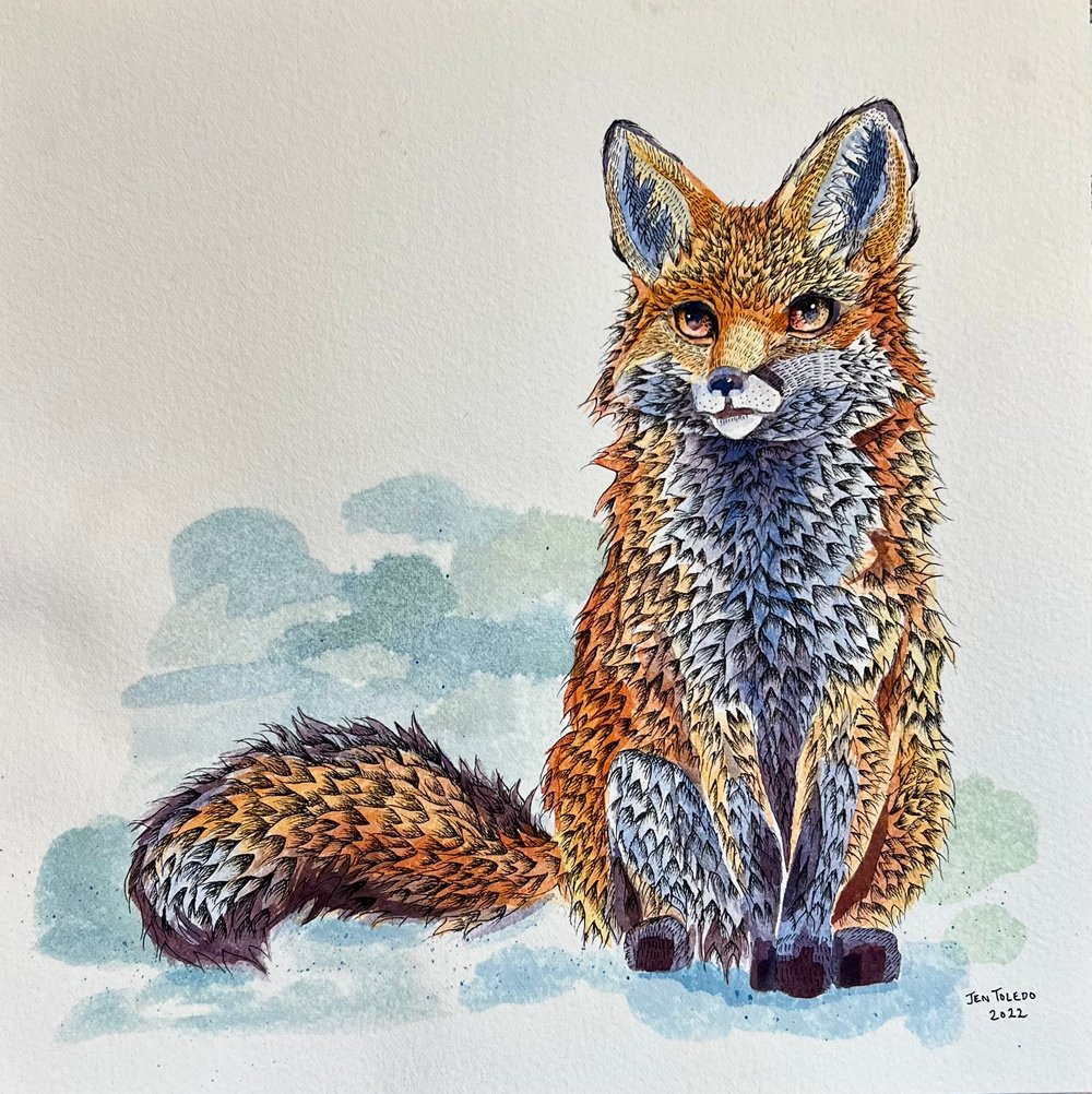 Image of Red Fox 🦊 