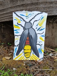 Image 9 of Lightning Bug