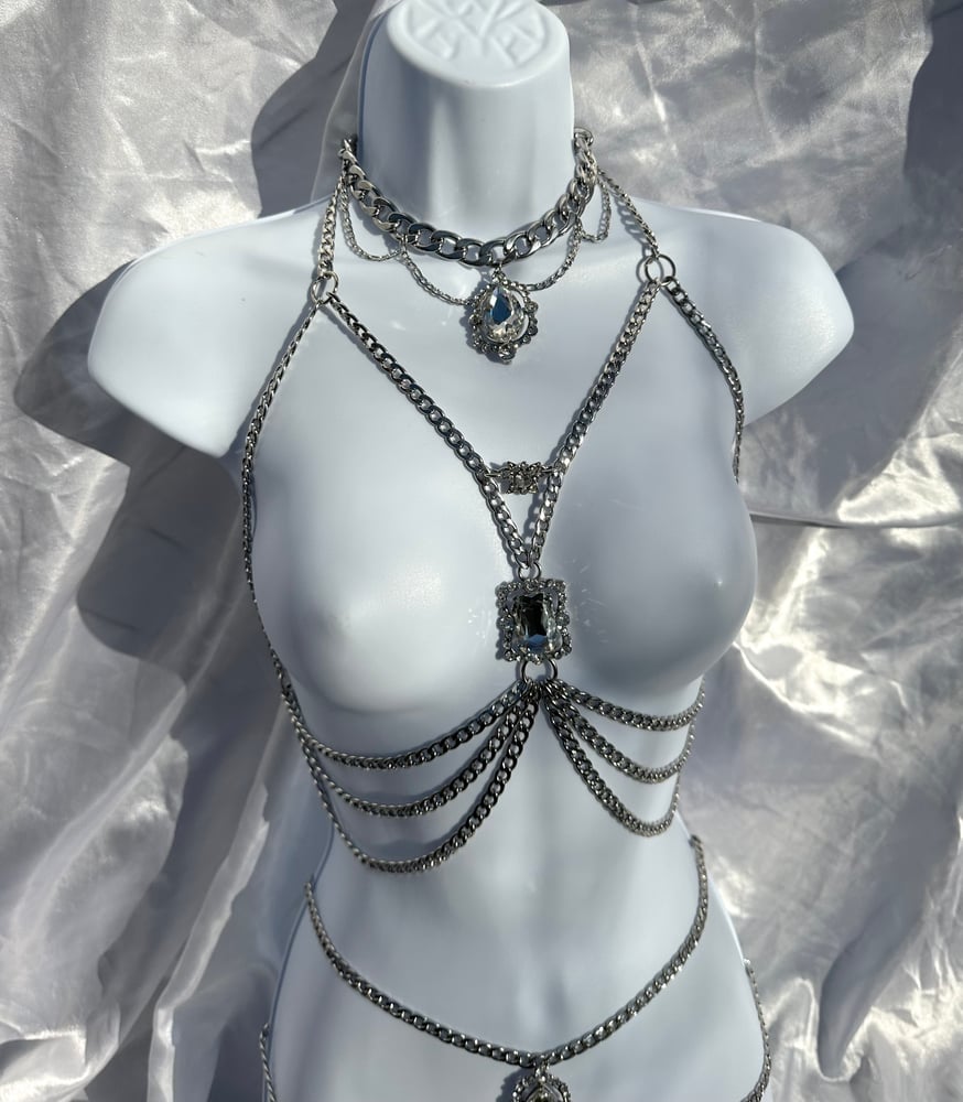 Image of Chance Chain Harness set- clear 