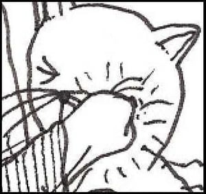 Image of gentle friendly c30