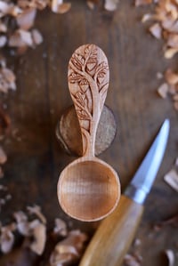 Image 1 of Oak Tree~ Coffee Scoop