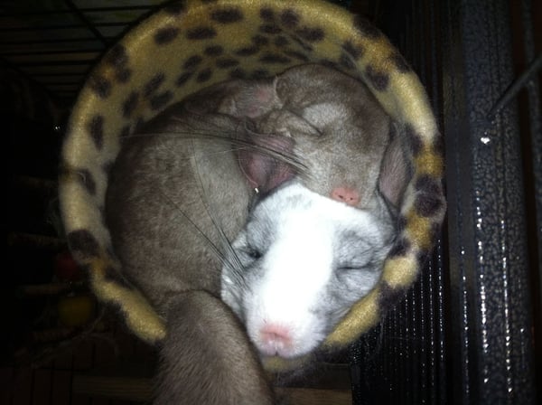 Image of CuddleTube™ PVC Tube