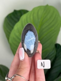 Image 14 of BLUE OPAL SHIVAS
