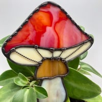 Image 3 of Red, Orange and Cream Plant Buddy 