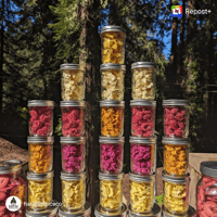 Freeze Dried Tropical Fruit Bag