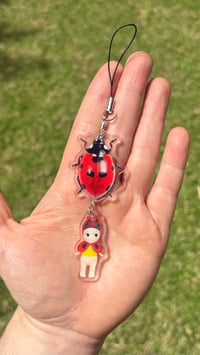 Lady bug 🐞 