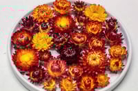 Image 6 of 60 Strawflower Heads - MIXED Colours