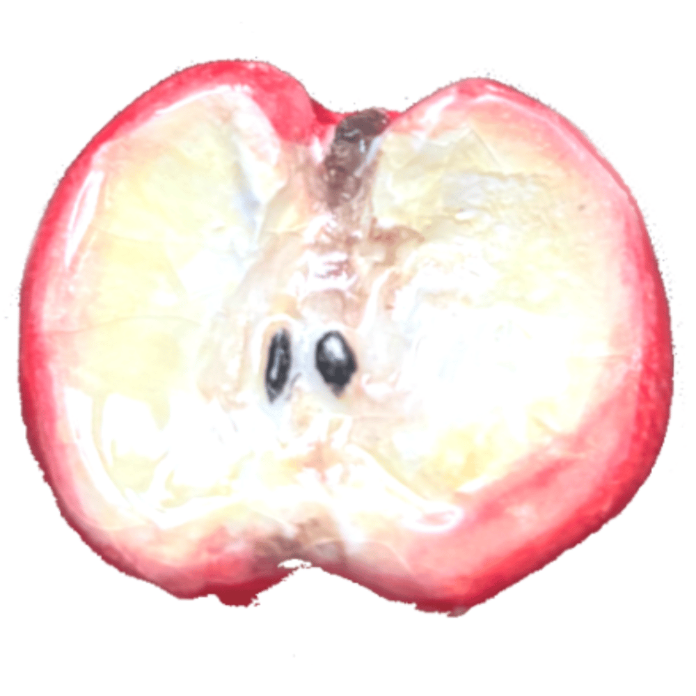 Image of Ceramic Apple Brooch