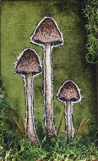 Image 3 of Sewn fungi artwork