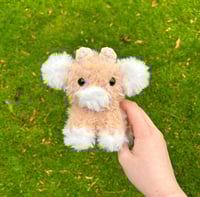 Image 1 of Baby Cow