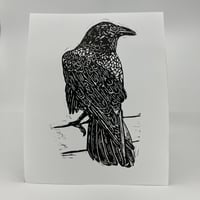 Image 1 of Raven