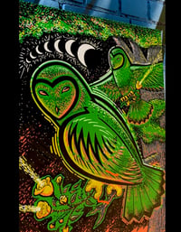 Image 3 of Owlllll