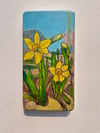 Daffodils 