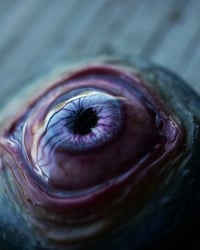 Image 6 of Custom Swappable Phone Grip for smartphones, reflective pupil, pink glow in the dark