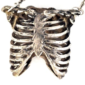 Image of Ribcage antique white brass