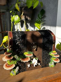 Image 2 of Wooden jewelry box led