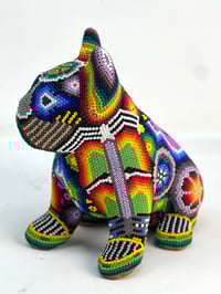 Image 2 of French Bulldog Puppy Vol 3 005