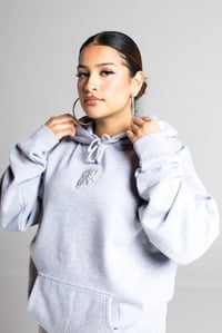 Image 1 of Dale Gas “Cool Grayz” Hoodie